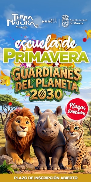 banner cronicas (18)