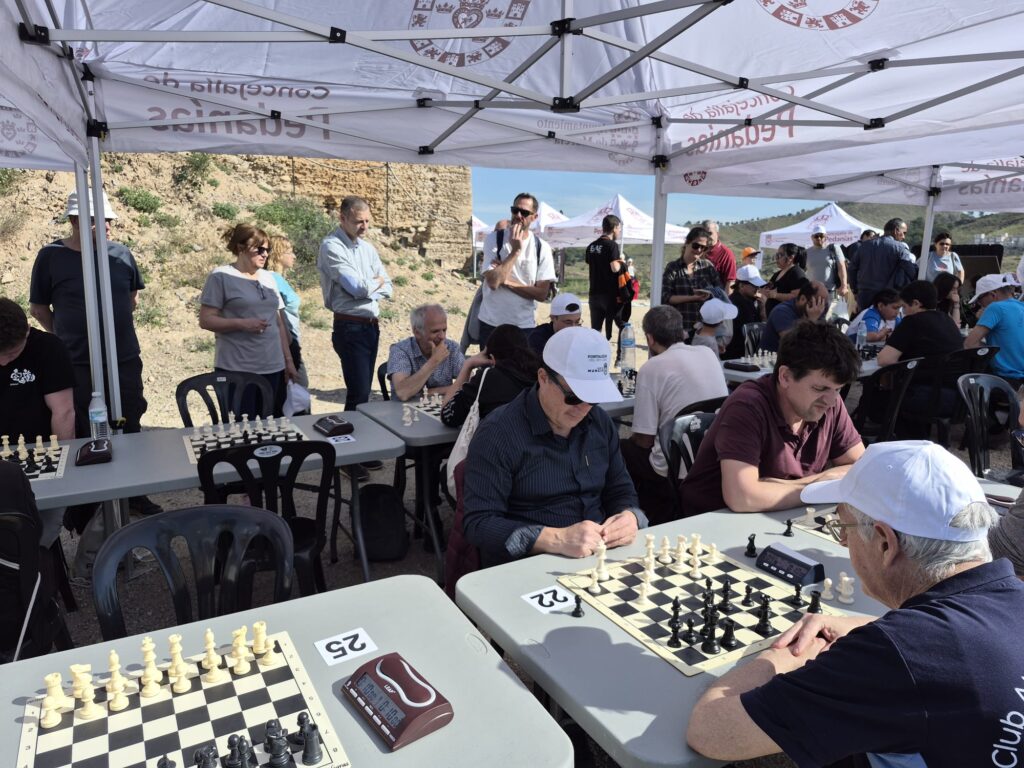 torneo de ajedrez fortalezas del rey lobo (1)